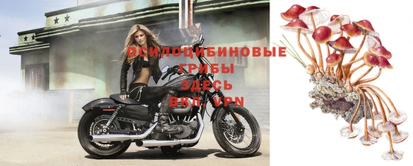 Альфа ПВП Нефтекумск