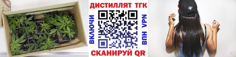 наркота Правдинск ТГК вейп