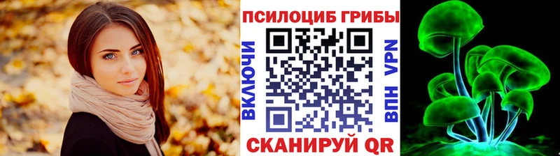 Псилоцибиновые грибы Cubensis  купить  сайты  Правдинск 